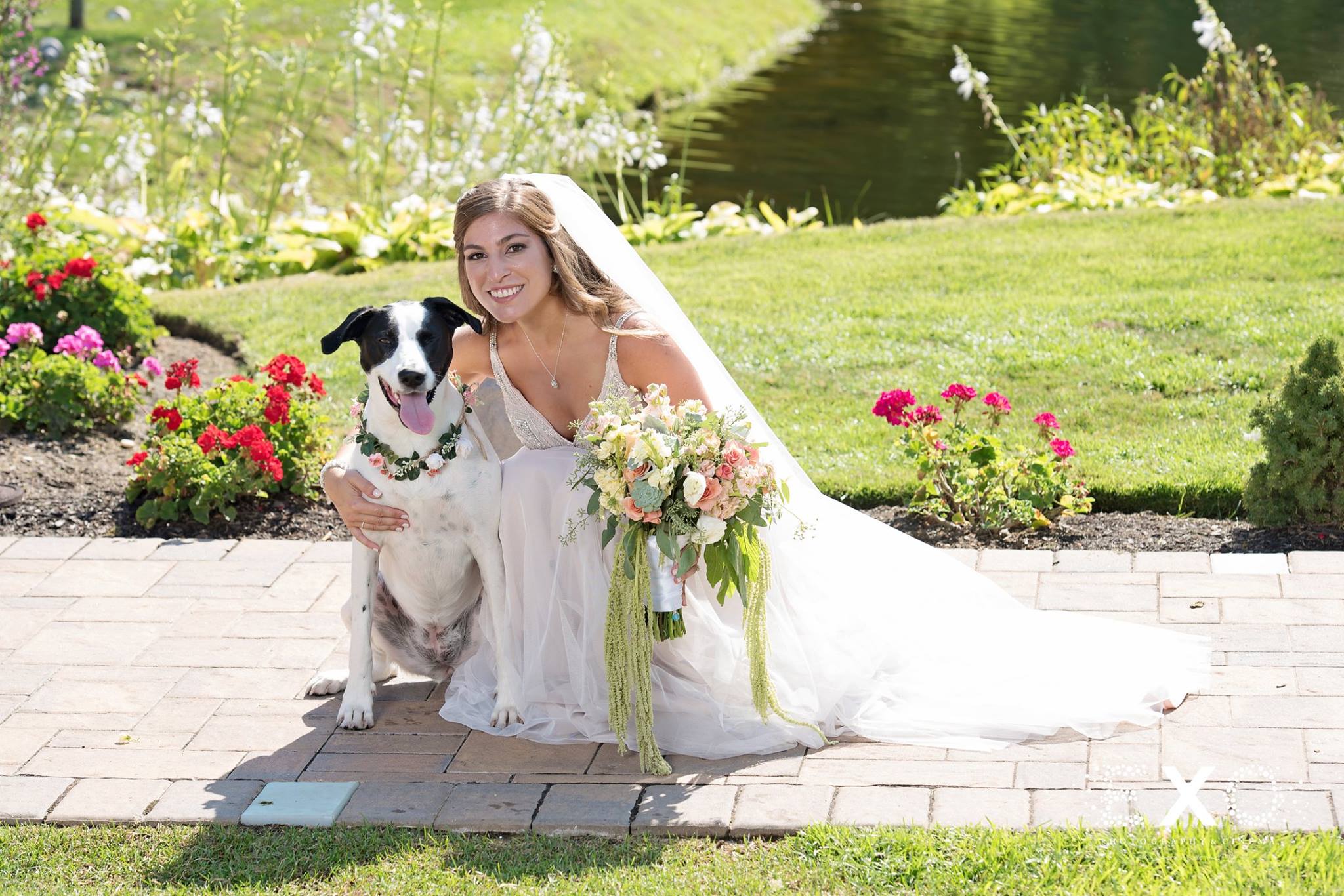 bride in kleinfeld bridal gown next to dog