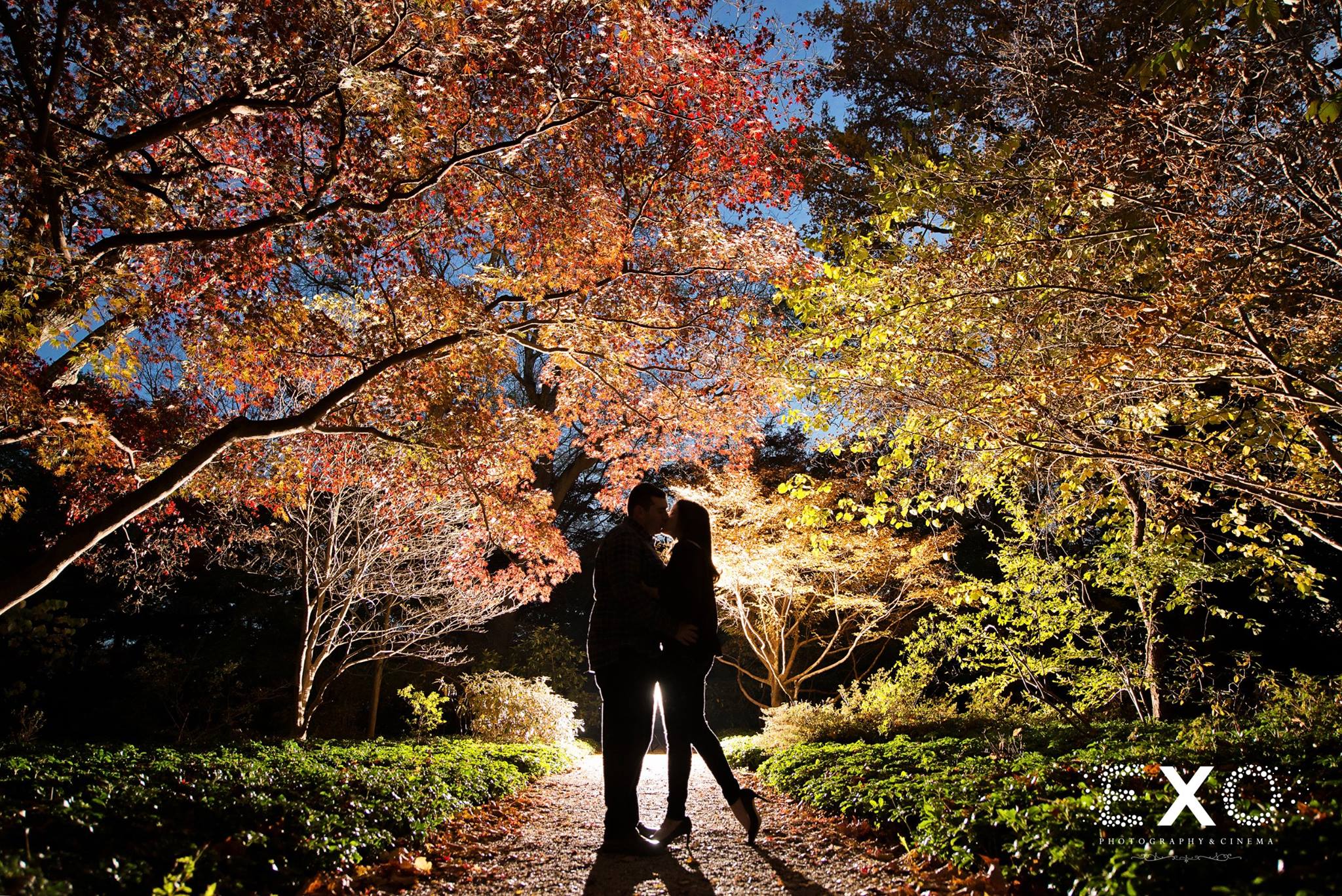 silhouette shot of couple at Planting Fields Arboretum