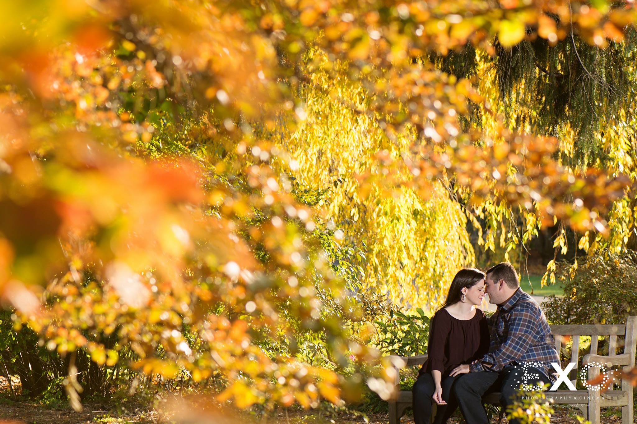 yellow fall trees with couple on bench
