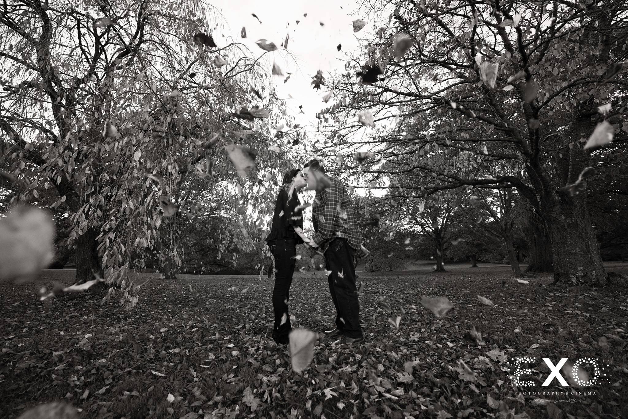 black and white image of flying leaves in Planting Fields Arboretum