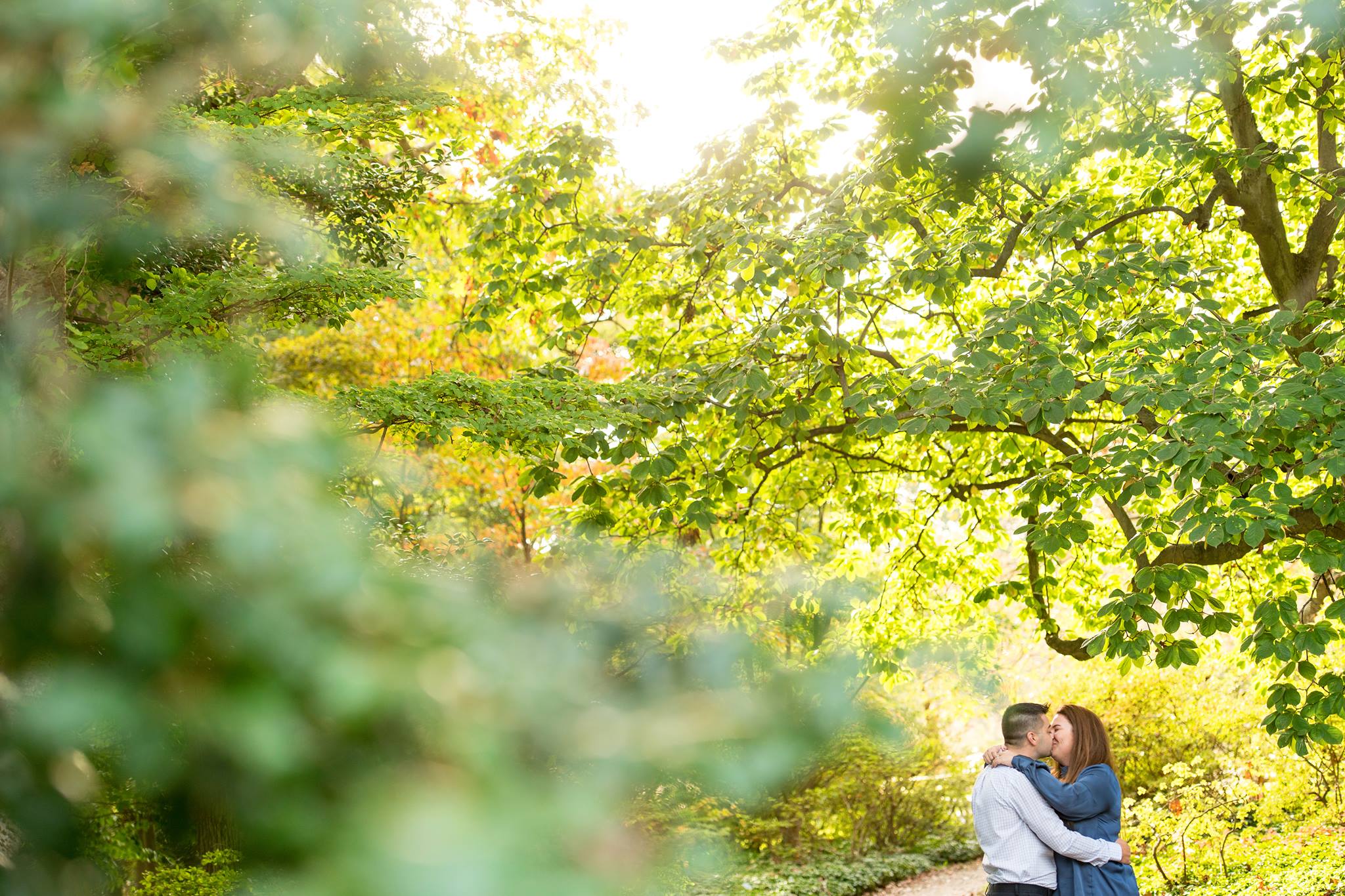 couple kissing among green trees at Planting Fields Arboretum