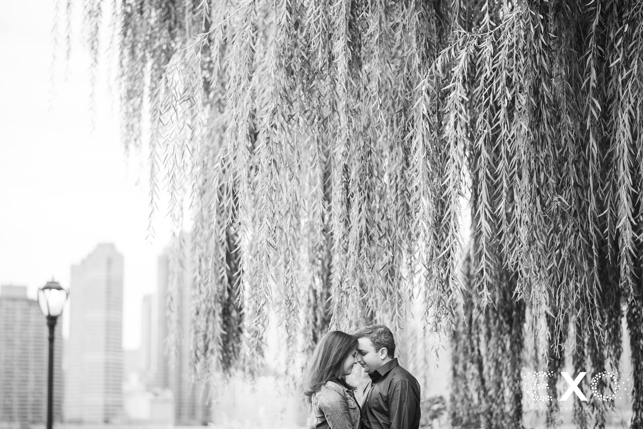 black and white image of couple near willow tree at Gantry Park engagement session