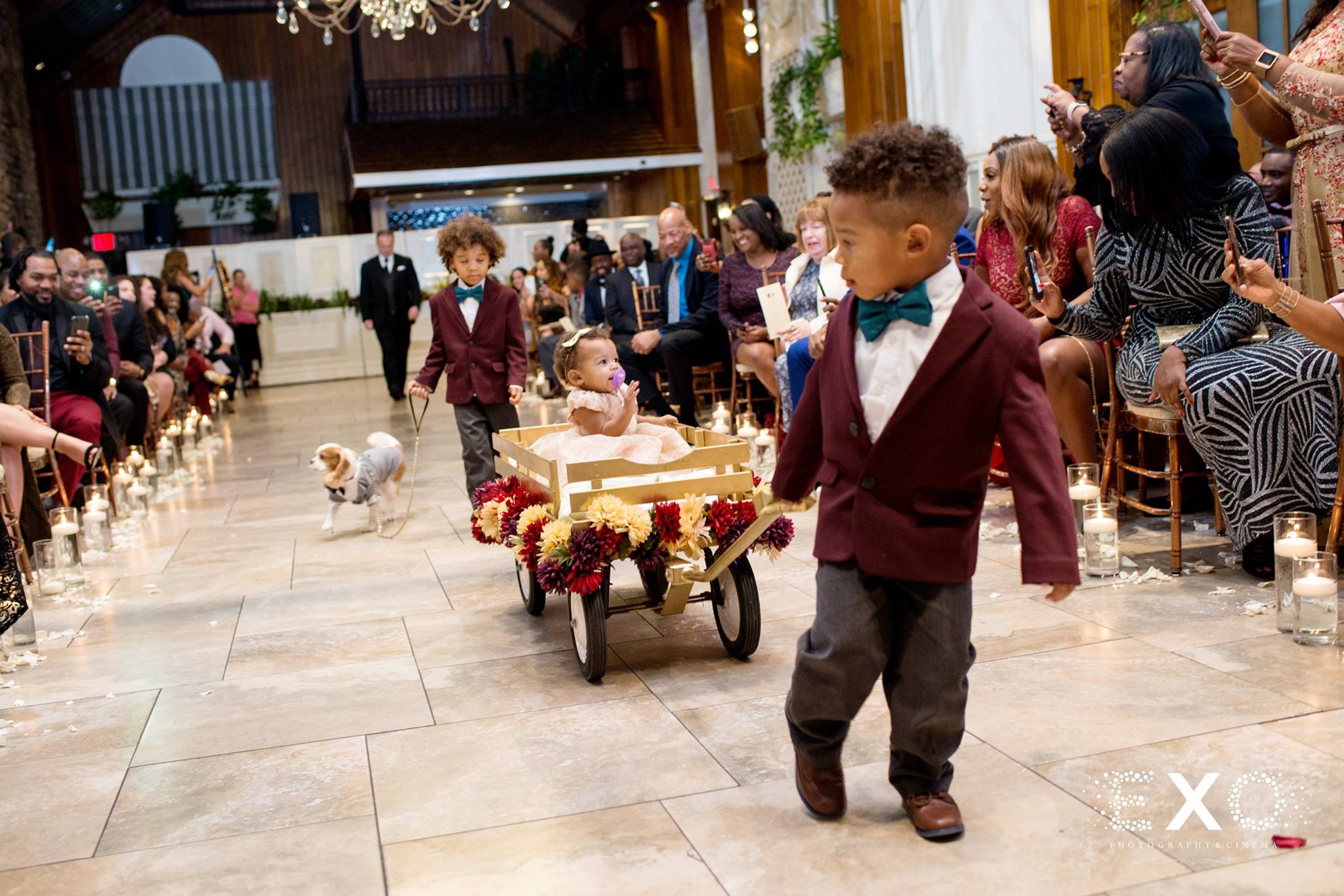 flower girl and ring bearers coming down the aisle with dog dressed in suit at Fox Hollow wedding