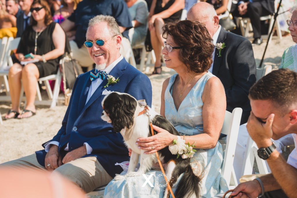 Mother and father of the bride with dog