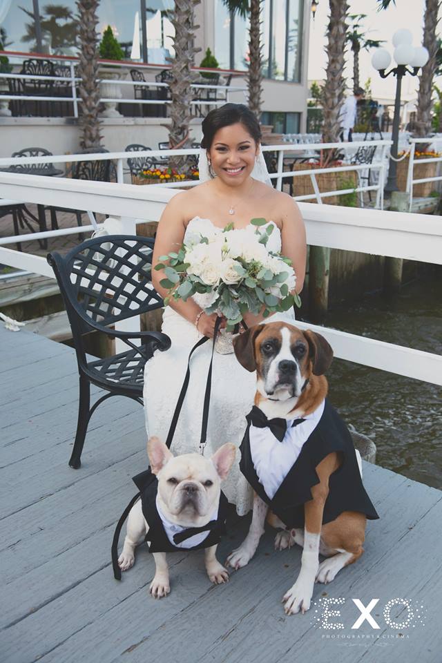 bride with her dogs at Chateau La Mer