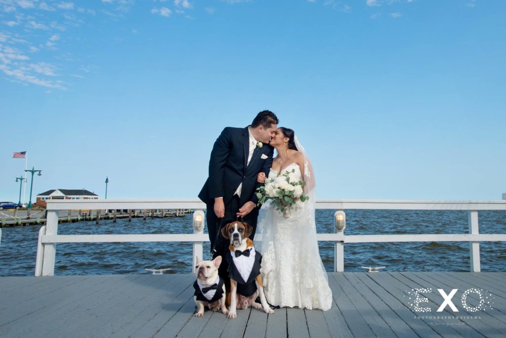 bride and groom kissing with their dogs at Chateau La Mer