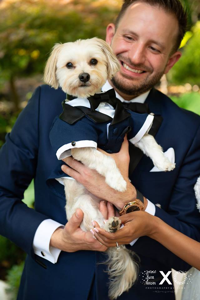 groom and his dog in a suit at Fox Hollow