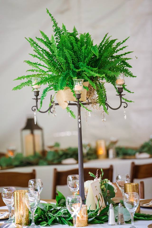 foral arrangement centerpieces at private residence