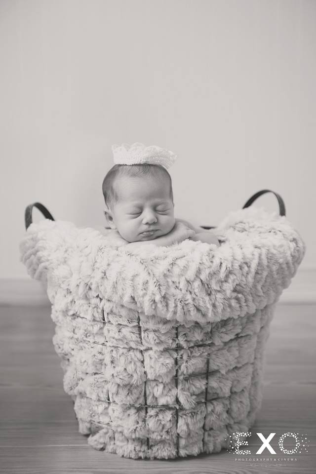 newborn in a basket at her newborn shoot