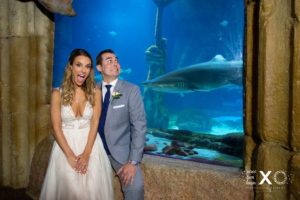 bride and groom with shark