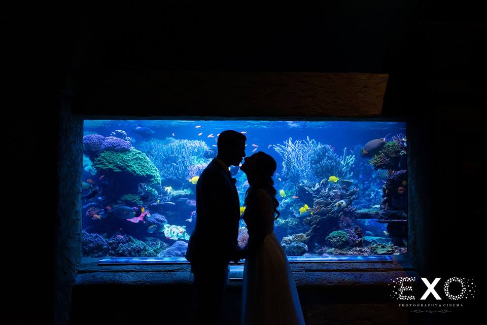 bride and groom kissing in front of tank at Atlantis Aquarium