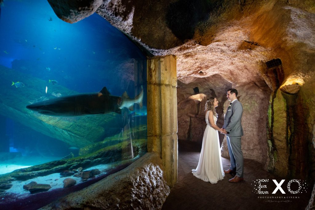 bride and groom holding hands by the tank