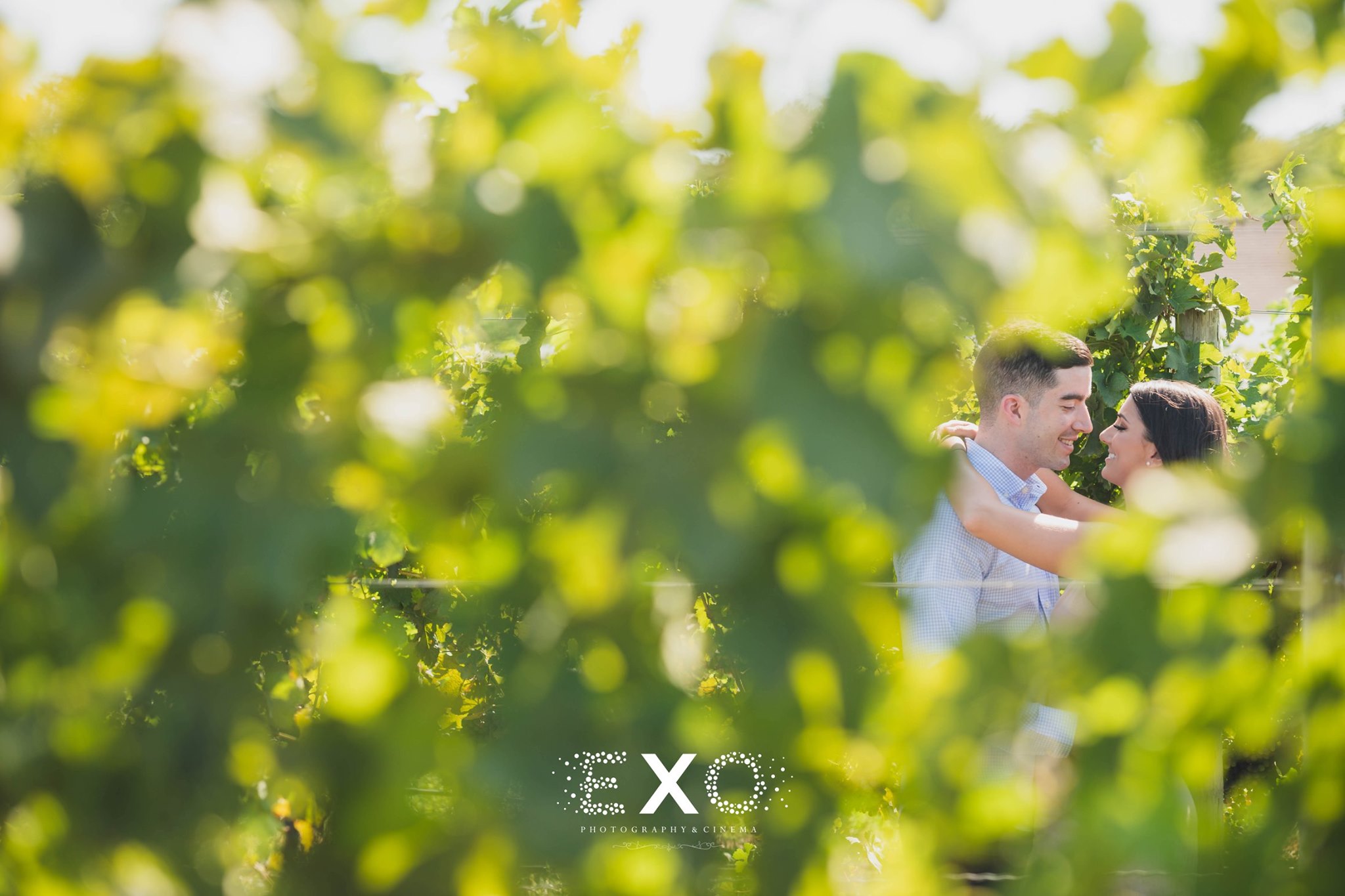 couple kissing within the vineyards