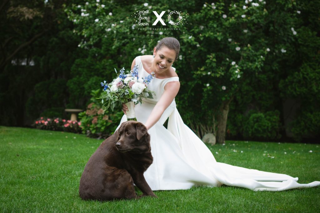 bride petting her dog