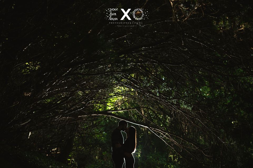 couple kissing under trees at night