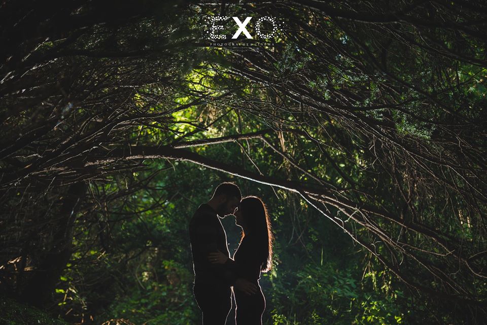 couple standing under trees at Welwyn Preserve County Park