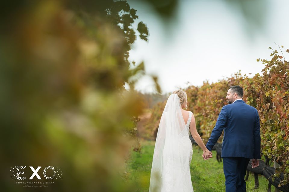 bride and groom walking through the vineyard at The Vineyard at Aquebogue
