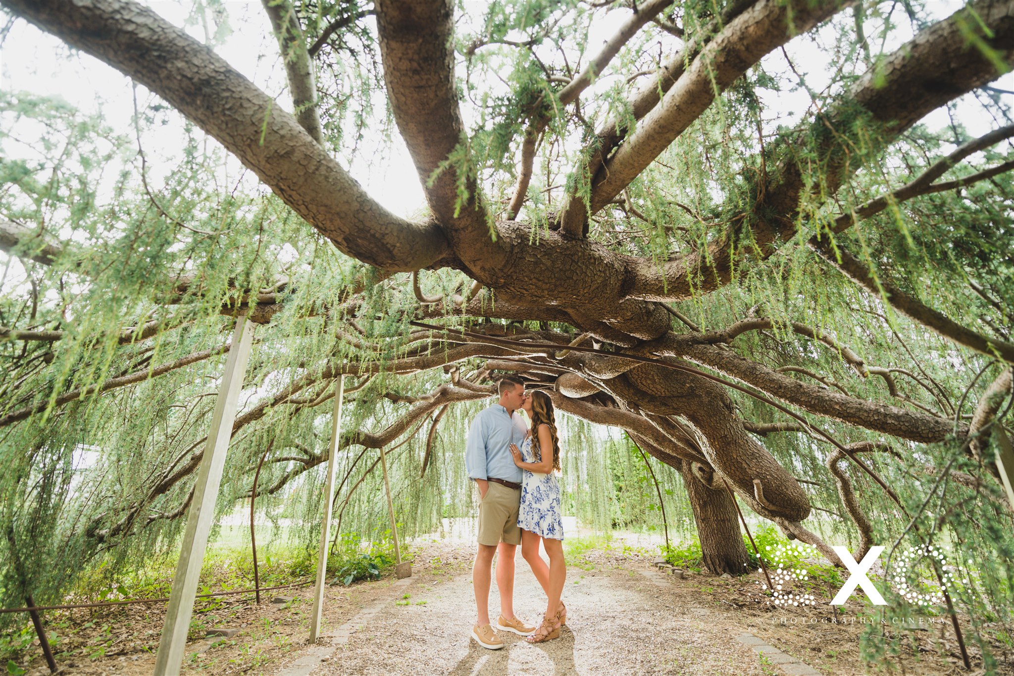 couple kissing under the tree archway