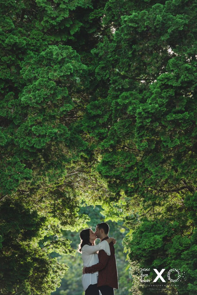 kissing near trees