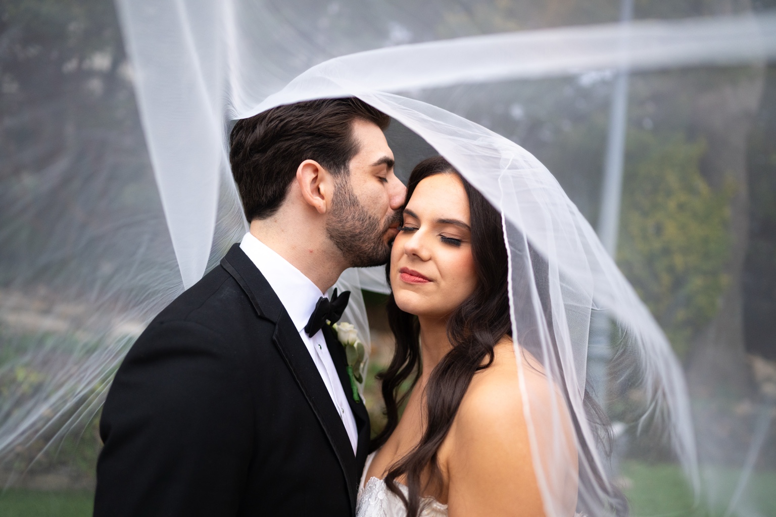 Fox Hollow romantic veil portrait